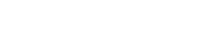 Vihar Overseas — Connecting Businesses Beyond Borders